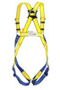 Safety Harness PROTEKT P-35mx