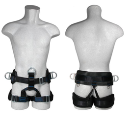 Harness Biodrowa ALPINA CA041