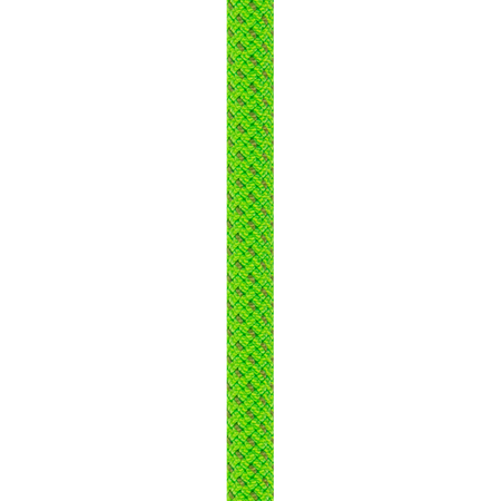 Rope Dynamiczna Virus 10 Mm X 80 M Solid Green