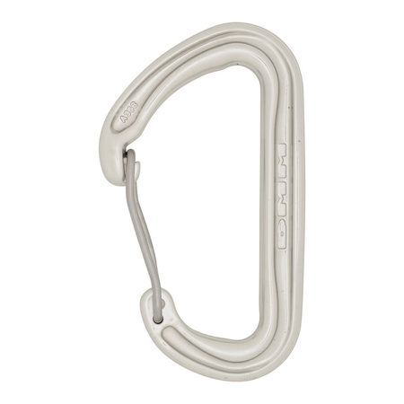 Carabiner Spectre Silver