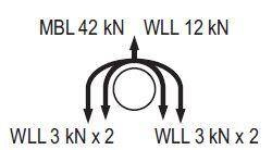 Pulley Double Janus Pro