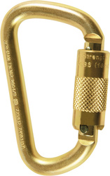 Carabiner Skylotec STEEL D TW