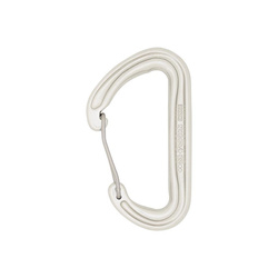 Carabiner Phantom Silver