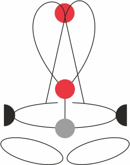 Harness Przemysłowa Golden Top Evo Alu