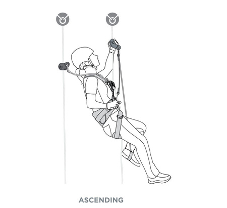 Wielofunkcyjne Urządzenie Typu "rope Grab" Capto 11 Mm Grey