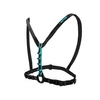 Harness NOTCH SRS