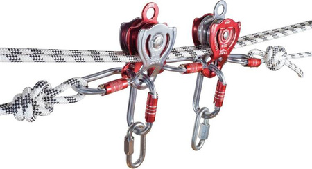 Pulley Double Janus Pro