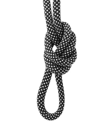 Lonża Switch Pro dł. 150 cm 