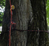 Ochraniacz/taśma stanowiskowa ART SnakeAnchor dł. 2,5 m