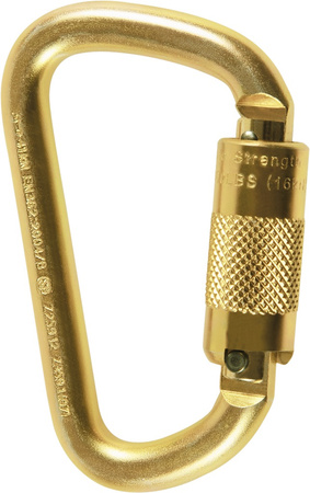 Karabinek Skylotec STEEL D TW