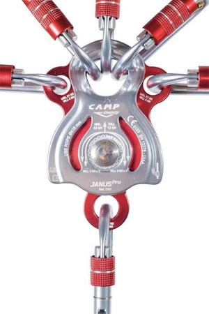 Pulley Double Janus Pro