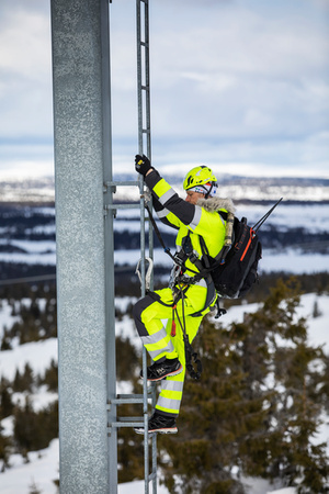 Alna 2.0 Work Pant Cl 1 369 Yellow/Ebony